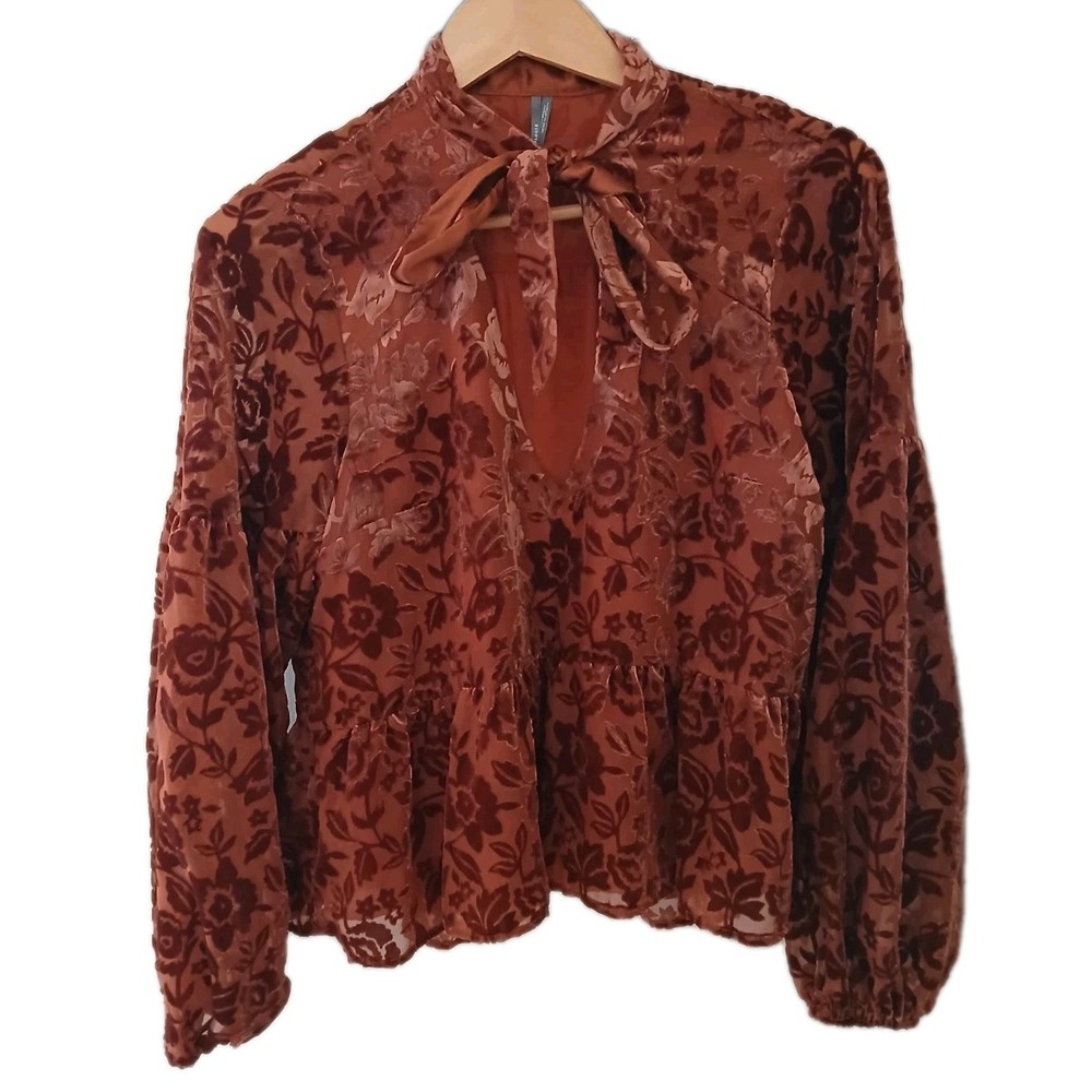 Anthropologie Velvet Burnout Tie Neck Blouse Size Medium Rust Boho Floral Peplum